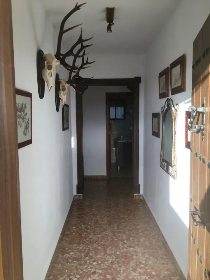 Finca la cigarra Almodóvar del Río