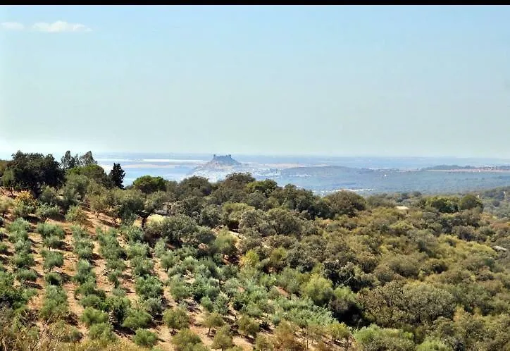 Finca La Cigarra Almodóvar del Río Gospodarstwo wiejskie